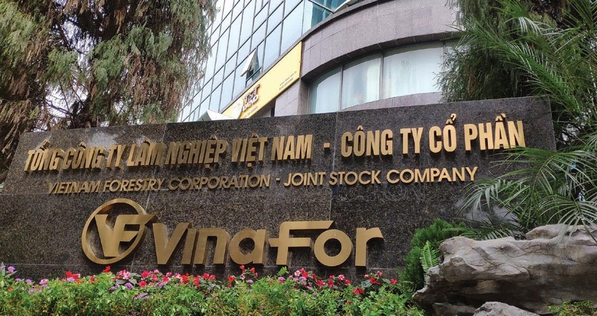 ván gỗ MDF Gia Lai