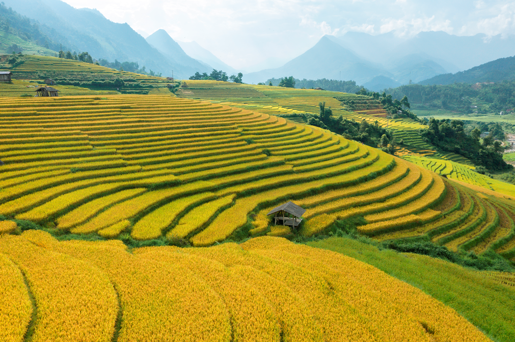 Hàng ngàn du khách lên Fansipan trẩy hội, đón mùa vàng đẹp nhất năm- Ảnh 10.