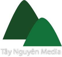 Tây Nguyên Media