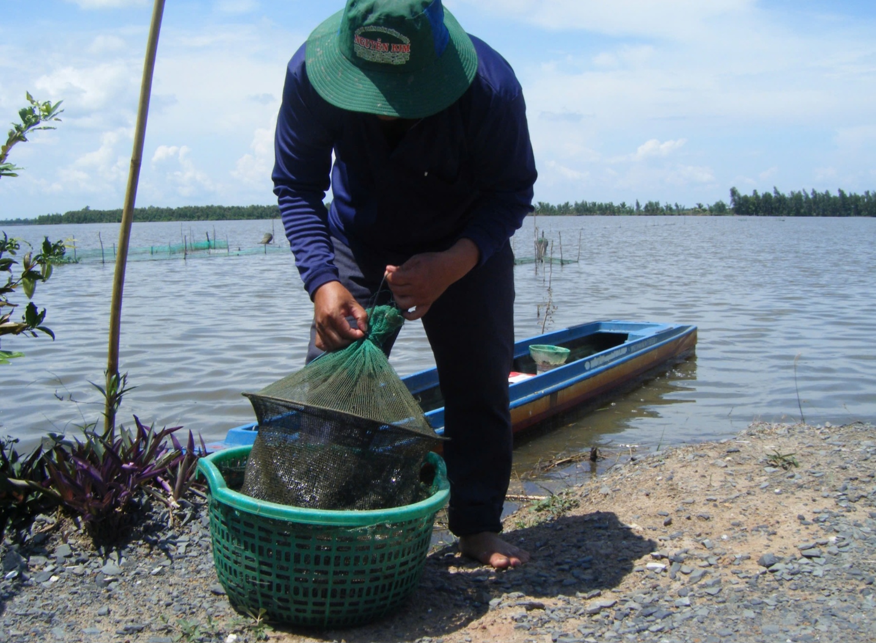 Khám phá mùa nước nổi Long An- Ảnh 2.