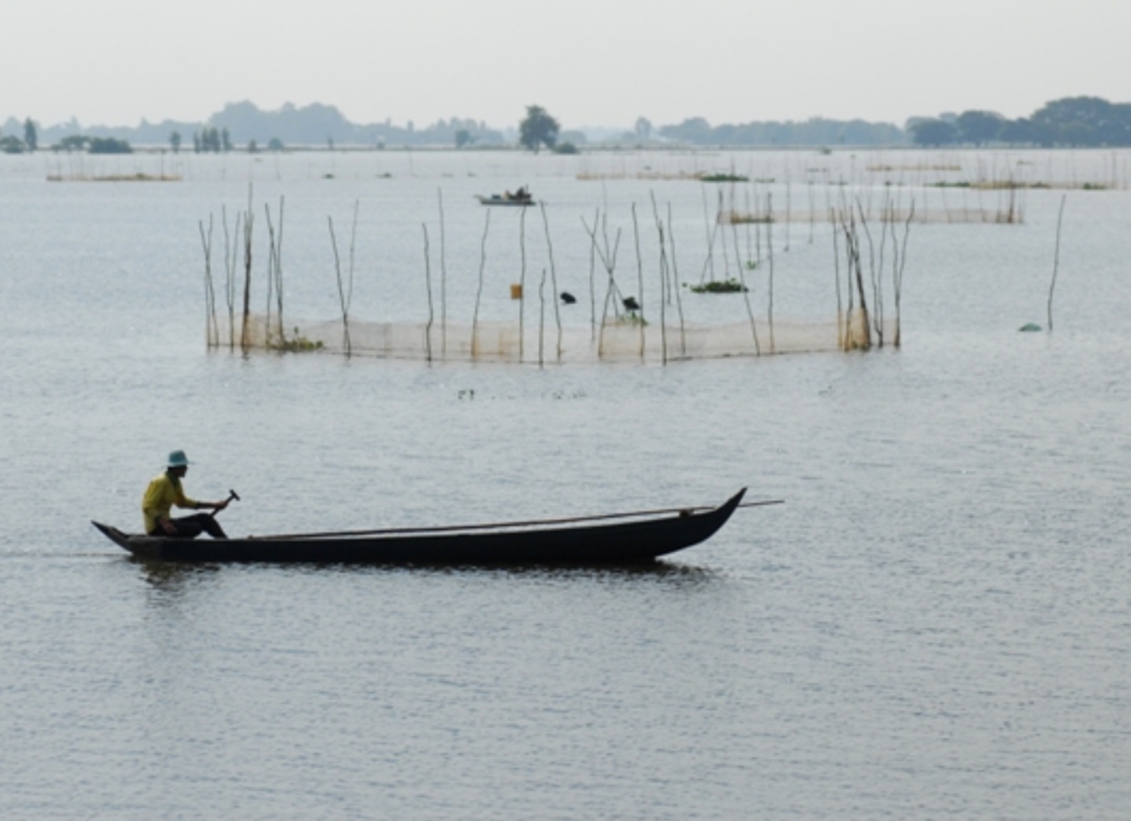 Khám phá mùa nước nổi Long An- Ảnh 1.